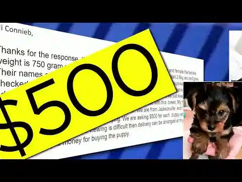 Brevard County couple gets scammed in ‘Puppies for Sale’ rip-off
