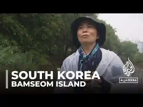 Destroyed and reformed: S Korea's Bamseom Island a home to migrating birds