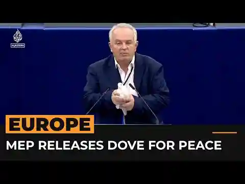 Dove release as gesture of peace in European Parliament met with dismay | #AJshorts