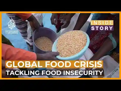 How can we reduce global food insecurity? | Inside Story