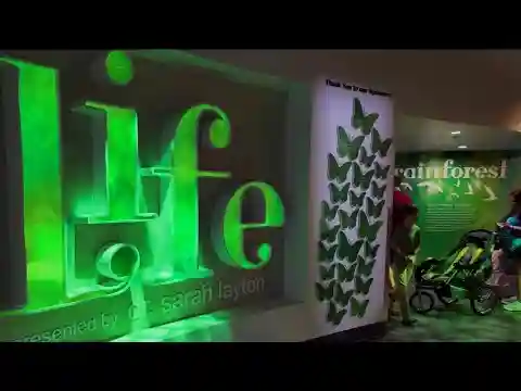 'Life' exhibit opens at Orlando Science Museum