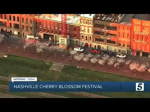 Nashville Cherry Blossom Festival