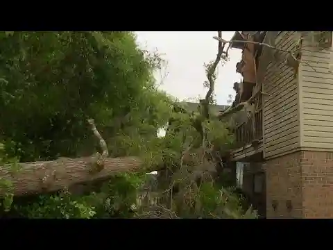 Tree crashes through apartments in Orange City