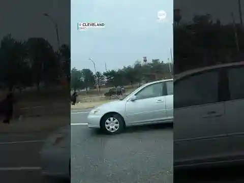 Loose police horses gallop on Cleveland highway