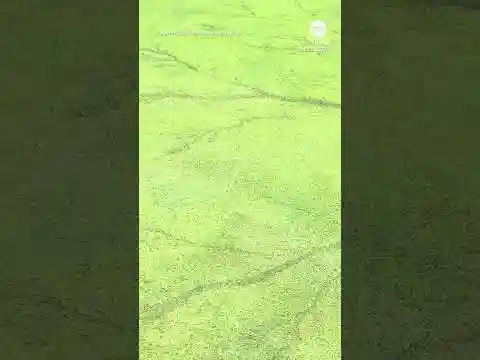‘Crazy’ lightning pattern found on Ohio golf course after thunderstorm