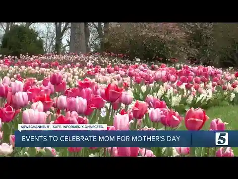 Events to celebrate Mother's Day