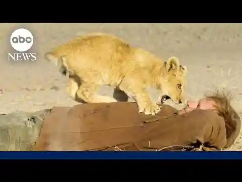 Living with a lion: Conservationist rescued and raised cub