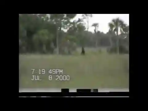 Man claims to have capture footage of a Skunk Ape in South Florida