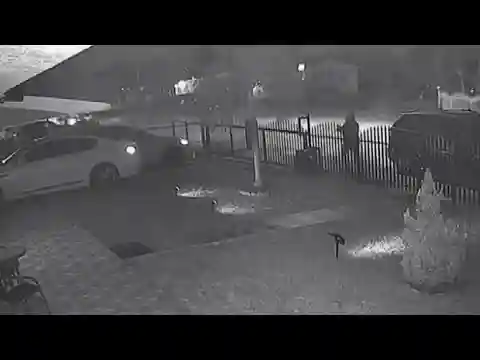 Video captures shootout in Florida neighborhood