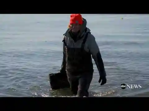 WNBA star-turned-kelp farmer fights climate change locally