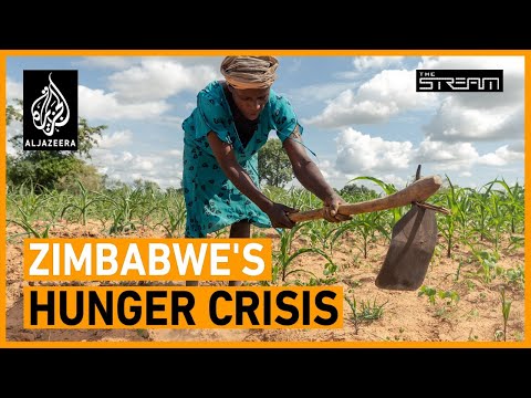 🇿🇼 Why is Zimbabwe in freefall? | The Stream