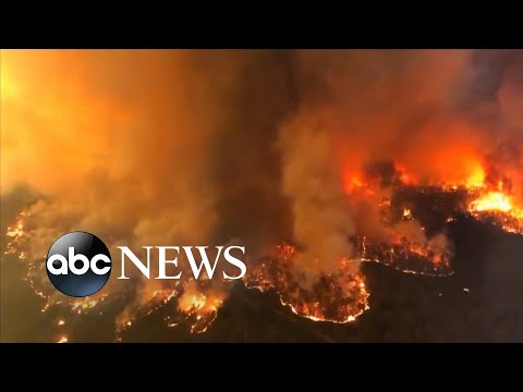 3 Americans killed in water tanker crash fighting Australia fires l ABC News
