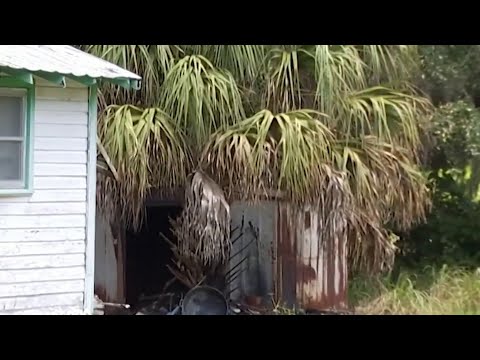 Accused killer who left man's body in burning shed arrested