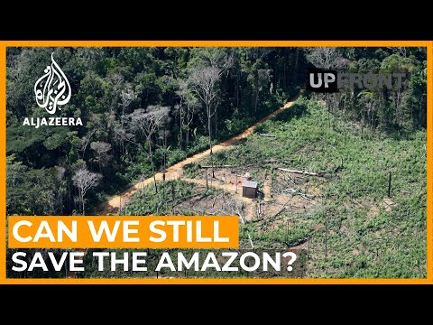 Are we running out of time to save the Amazon rainforest? | UpFront