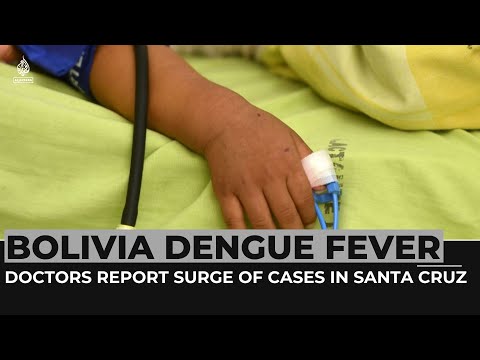 Bolivia: Doctors on alert amid rising dengue cases in Santa Cruz