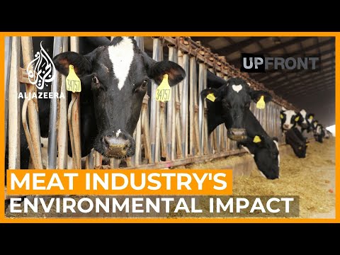 Can cutting meat consumption save the planet? | UpFront