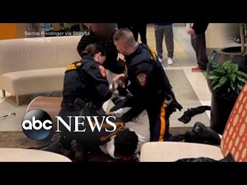 Cops under fire over video of mall arrest