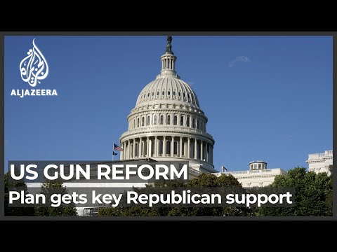 Gun reform plan gets key Republican support in US Senate