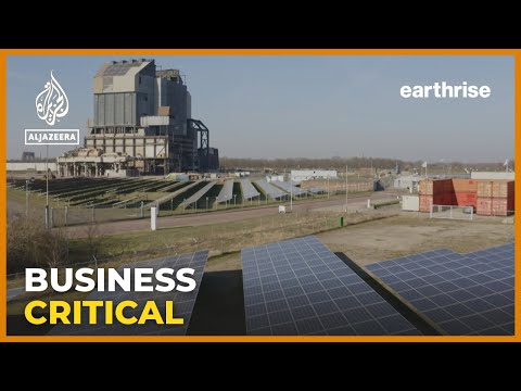 How are businesses leading the way to a more sustainable future? | earthrise
