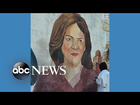 Murals painted in Gaza City to honor slain journalist
