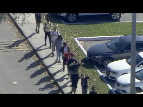 Parkland shooter to plead guilty to 17 murders
