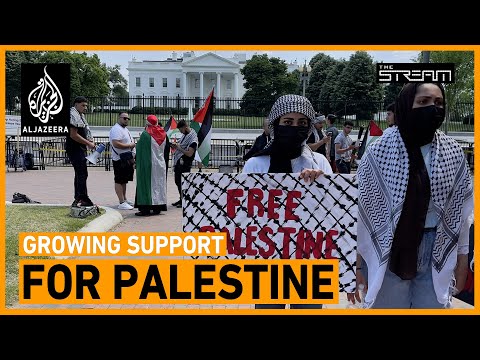 Pro-Palestinian support growing, but will it lead to policy change?  | The Stream