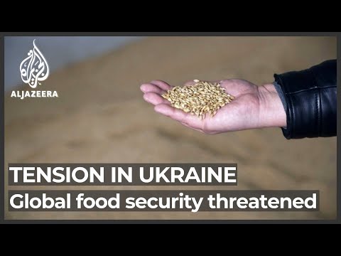 Renewed conflict in Ukraine could trigger a food supply crisis
