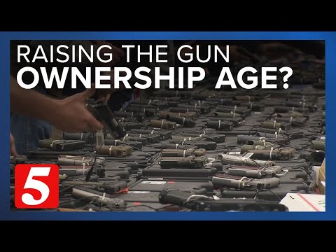 Should Tennessee raise the age to own a gun? Some state legislators think so