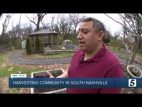 South Nashville nonprofit helping teach gardening and entrepreneurship skills