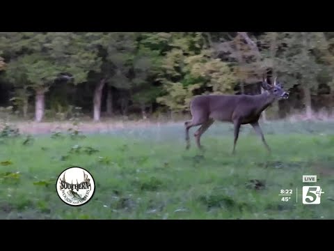 Southern Woods and Waters: The end of deer hunting season (P2)