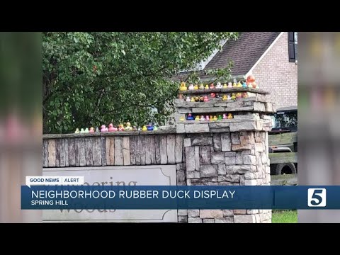Spring Hill neighborhood has rubber duck display