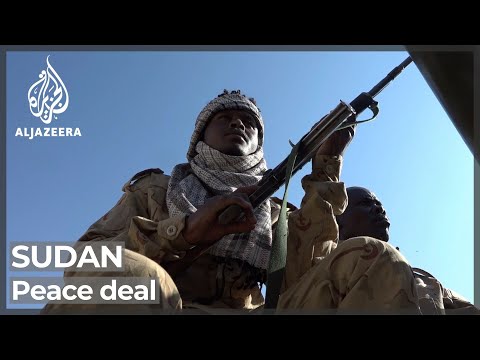 Sudan peace deal: Implementation delays cause security concerns