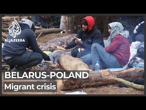 Syrian asylum seeker found dead on Poland-Belarus border