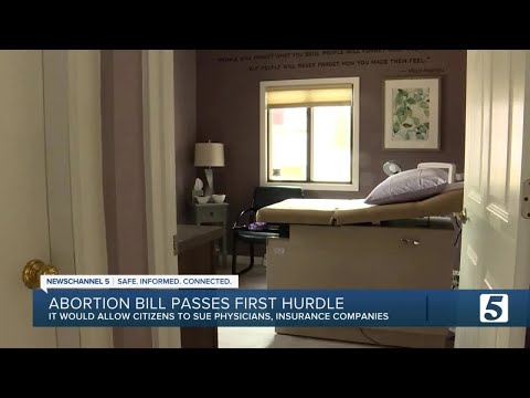 Tennesse legislator designs bill that would allow citizens to enforce new abortion ban