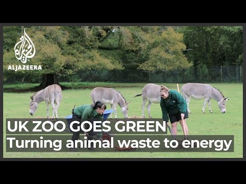 UK zoo generates renewable energy using animal waste