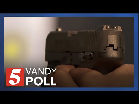 Vanderbilt Poll showcases the support for gun control measures in the state