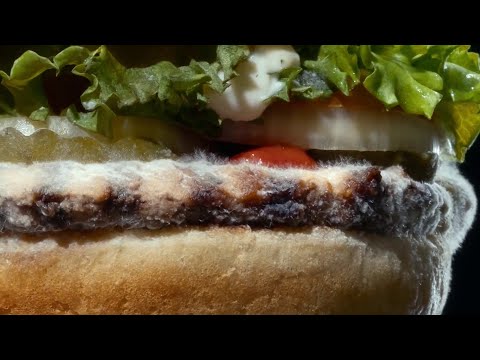 Burger King features moldy Whopper in new ad