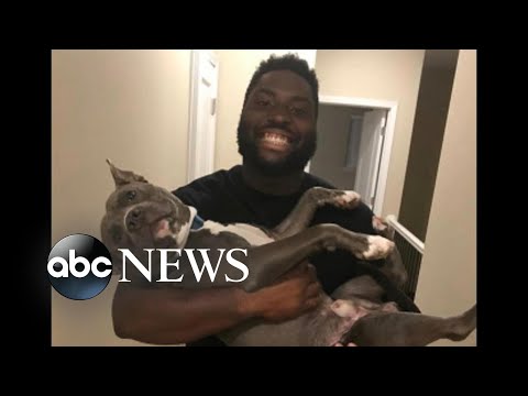 Chiefs' player pays adoption fees for more than 100 dogs l ABC News