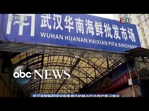 Chinese city of 11 million on lockdown amid deadly virus l ABC News