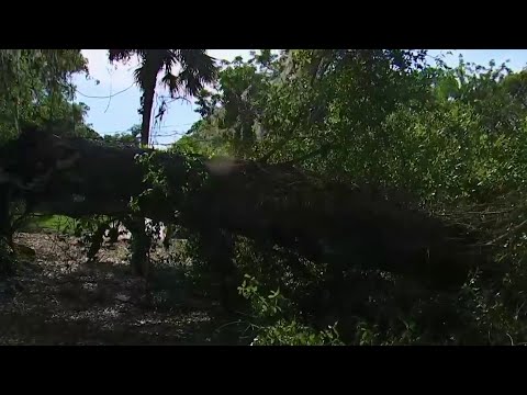 DeLand sees damage from tornado