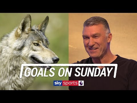 Did Nigel Pearson really wrestle a pack of wolves in Transylvania?! | Goals on Sunday