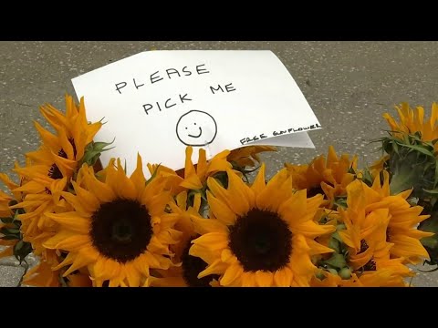 Do Your Part: Business gives away free flowers