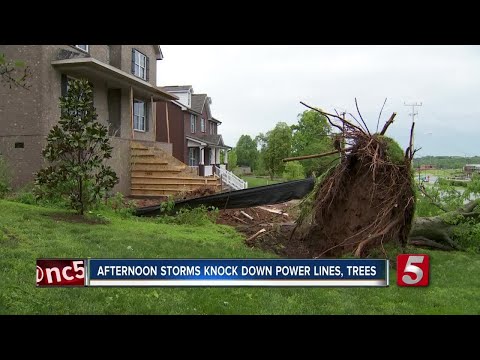 Donelson hit hard in Sunday's storm