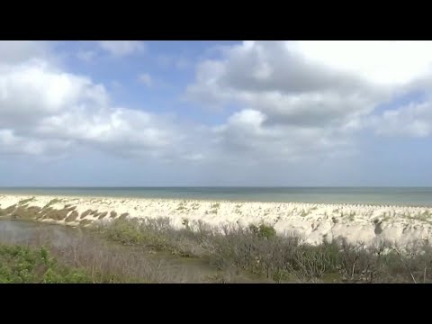 Dune restoration to protect launch operations at Kennedy Space Center from rising sea levels