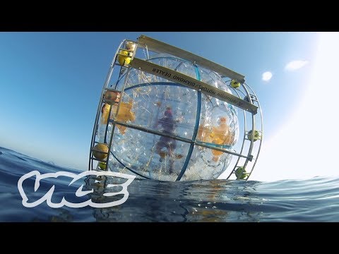 Florida Man Runs to Bermuda in a Giant Bubble | WTFLORIDA