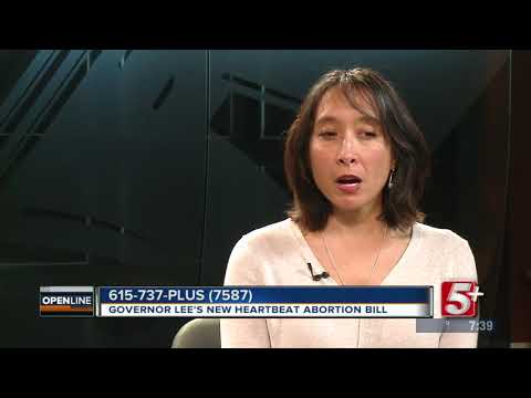 Governor Lee's Heartbeat Abortion Bill p3