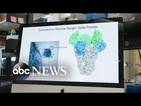 Home researchers working furiously to learn how a vaccine for the coronavirus works | ABC News Prime