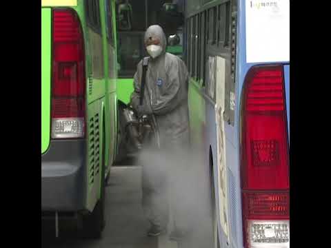 Officials fumigate hundreds of buses amid coronavirus cases in South Korea | ABC News