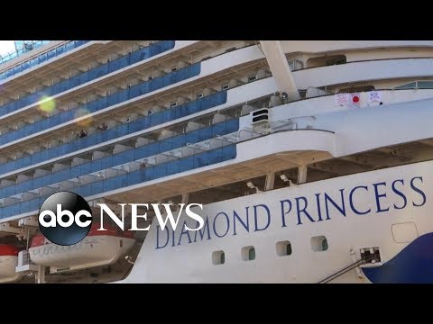 Plane evacuating Americans from Diamond Princess cruise ship denied permission to land