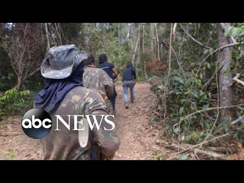 Preview of ABC News documentary ‘Guardians of the Amazon’